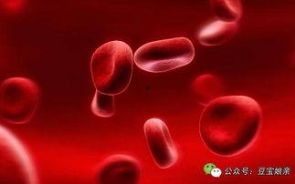 各国产妇生宝宝视频,各国宝宝诞生瞬间大揭秘