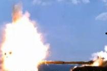 国产鲸鱼视频网站,探索海洋文化新视界