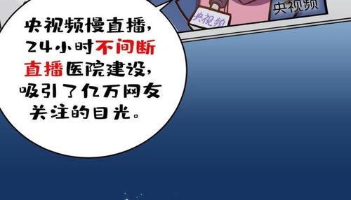 国产漫画视频文案高级,揭秘视频文案背后的艺术魅力