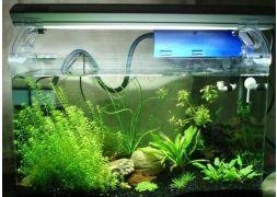 国产水草灯推介视频,打造水族箱生态之美，点亮绿色生活新风尚  第2张