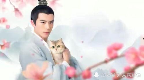 人人视频国产剧推荐,人人视频热门推荐盘点  第3张