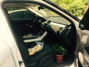 国产路虎收车视频播放大全,精彩视频一网打尽  第3张