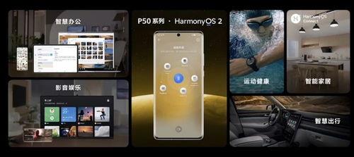 华为国产化视频  第2张