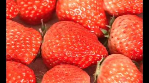 草莓视频国产旧版,重温经典,回味无穷的短视频时光 第3张 草莓视频国产旧版,重温经典,回味无穷的短视频时光 第3张