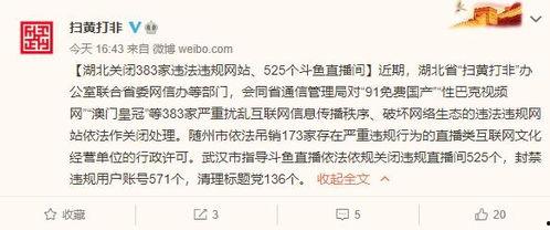 国产性网址在线视频  第2张